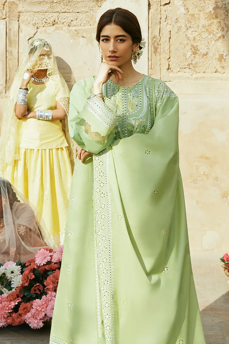 Cross Stitch Premium Lawn 2024 – GARDEN GRACE-3 PIECE LAWN EMBROIDERED SUIT